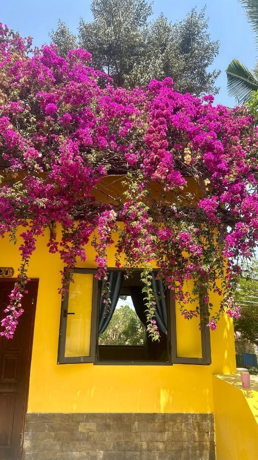Bao Dien Guesthouse Bảo Lộc Eksteriør billede